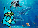 smol dolphin diving