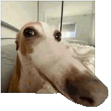 13491