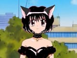 Thread 12433411 OP Image