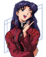 misato checkem