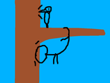 woodpecker.skribbl