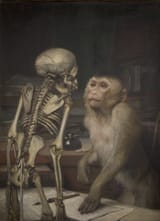 Affe_vor_Skelett