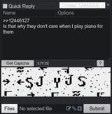 palindrome captcha