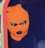 cat in a ski mask