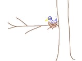 nest.skribbl