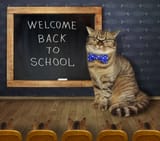 cat-teacher-and-its-students-2