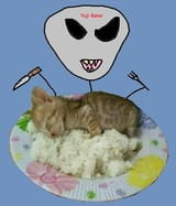 YujiEatingPureInnocentKittyHeIsAMonsterLetsAllThrowRocksAtHimMetaphoricallySpeakingNotLiterallyAlsoThisIsJustSatireDontBeMeanToYuji
