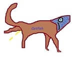 catfish
