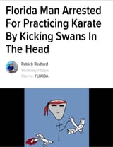 YujiKarate