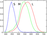 Cones_SMJ2_E