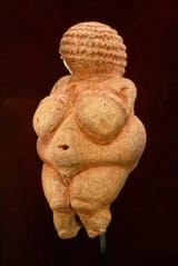 ideal woman