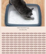 1749004012867781