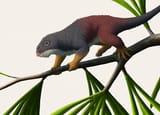 suminia therapsid