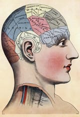 phrenology-chart-skull-divisions