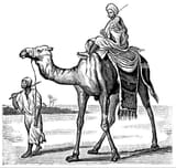 camel-riding-north-africa-illustration-from-soviet-encyclopedia-1926-DYP2JH