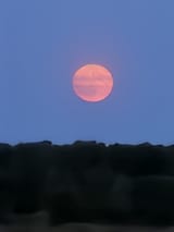 20250610_220002