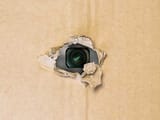 Thread 16694863 OP Image