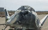 dream chaser it will buff out