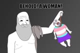 Plato&#039;s Tranny