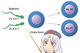 Eirin_teaching_the_pathogenesis_of_complete_H_mole