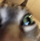 1633158950567