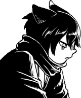 angry cat