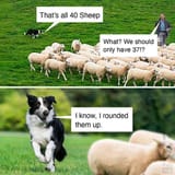 Math humor