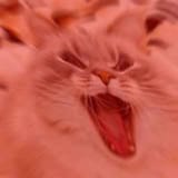 Thread 16729722 OP Image