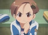 Mucchi