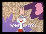 wackiki-7732eb3381e91ba8fbff2b7c3aab6ee7