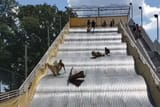 Crash Slide
