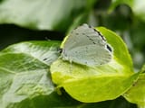 IMG20240603122221