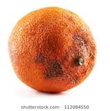 112084550