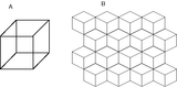 A-The-Necker-cube-demonstrates-multistability-in-perception-B-This-figure-shows-how