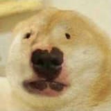 Thread 16713601 OP Image