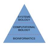 math biology hierarchy
