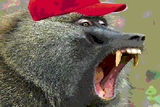 maga