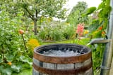 rain-barrel-in-garden
