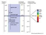 Electromagnetic Spetrum
