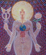 sophia