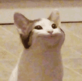 bababababa