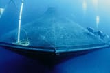 oceanspar3