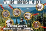 muh beauty of nature