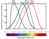 cones_graph