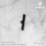[twitter] DutchSpace—2025.07.17—1945793888590909692—GwDY7y1XkAAq2pE
