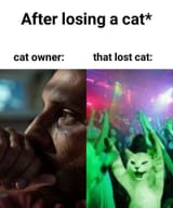1721275521766634