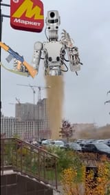 pol_bots_insas