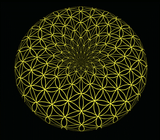 torrodial flower of life