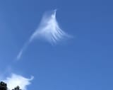 1738126233693006