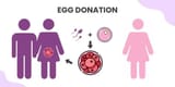 Egg-donation-768x384